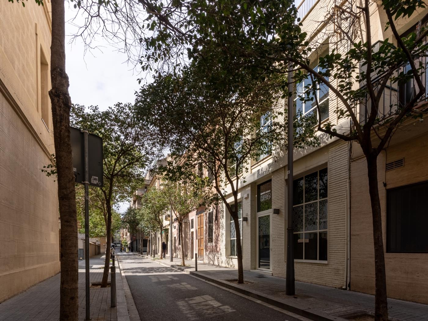 Magnificent apartment in down town Barcelona in Barcelona